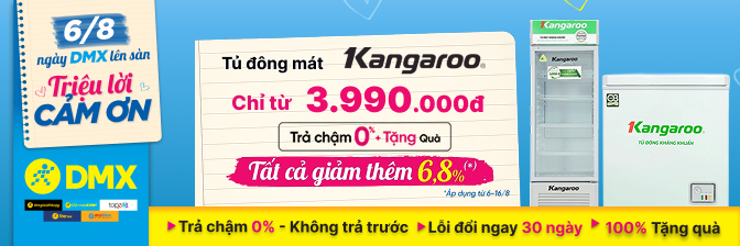 ĐÔNG MÁT KANGAROO