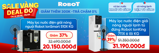 Robot
