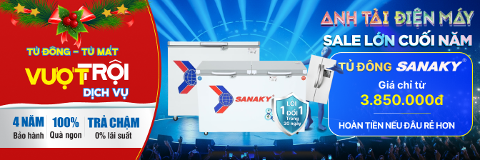 Tủ đông Sanaky