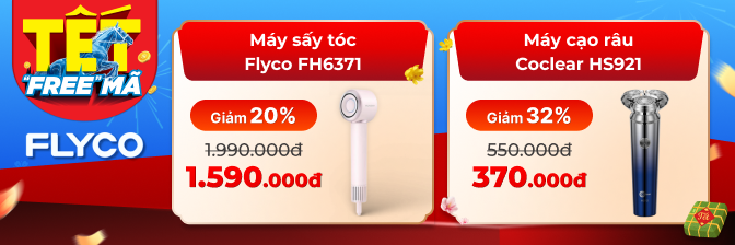 Flyco t2.2026