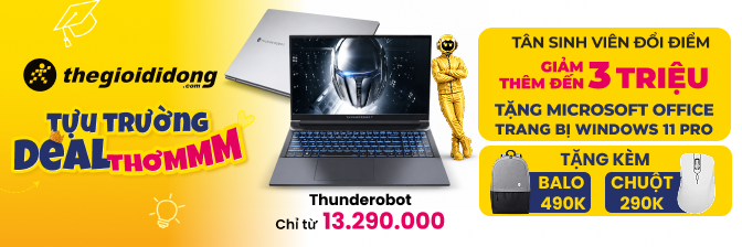 Banner Thunderobot