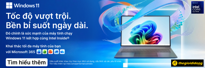 Windows 11