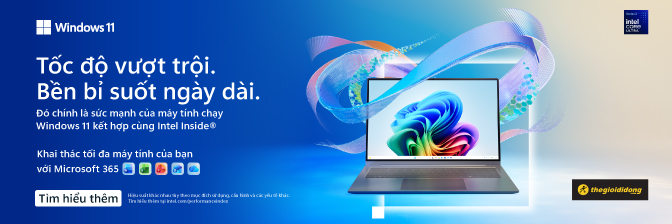 Windows 11