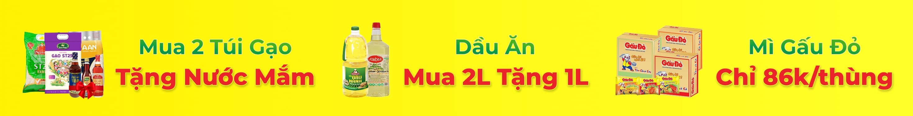 SALE GIỮA THÁNG TPGV