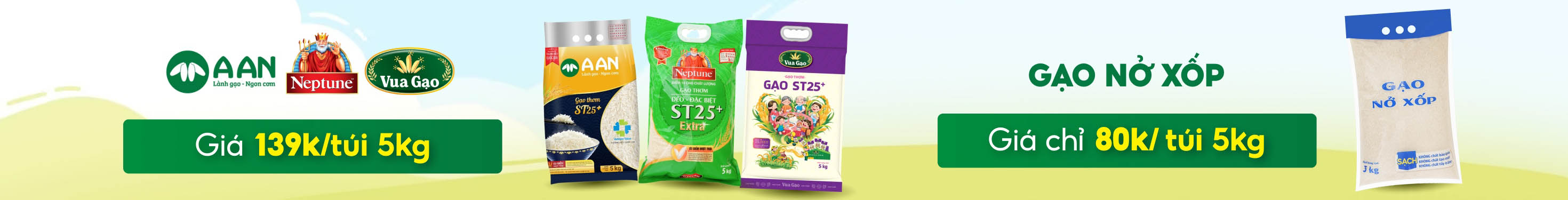 GẠO SẠCH GIÁ TỐT