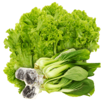 Mua rau tươi sống, chất lượng, an toàn tại Bách hóa XANH