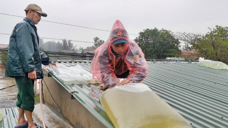 Các bước cần chuẩn bị TRƯỚC khi bão đổ bộ - Gia cố nhà ở