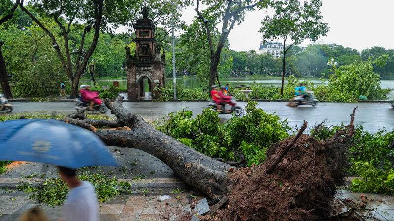Những việc cần làm SAU khi bão tan