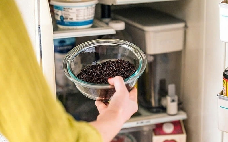 Dùng bã cà phê hoặc trà túi lọc