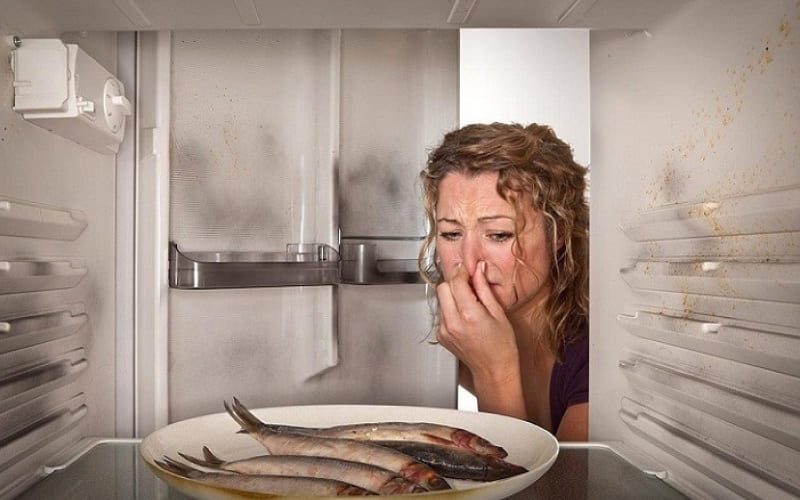 Nguyên nhân chính gây ra mùi hôi tủ lạnh