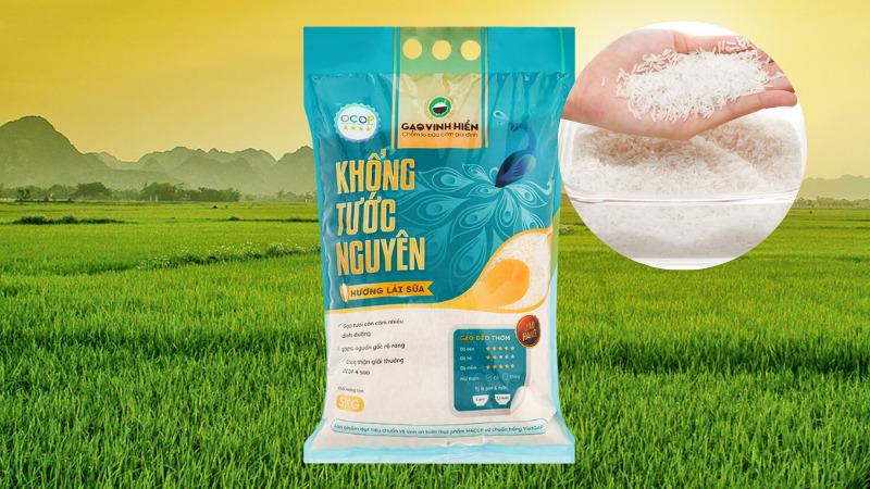 Gạo Khổng Tước Nguyên hạt gạo khá mập và có màu trắng sữa Gạo Khổng Tước Nguyên hạt gạo khá mập và có màu trắng sữa