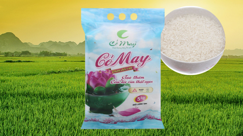 Gạo Cỏ May có độ dẻo vừa, thơm nhẹ Gạo Cỏ May có độ dẻo vừa, thơm nhẹ