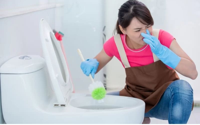Vi khuẩn và cặn bẩn tích tụ trong nhà vệ sinh gây mùi khó chịu.