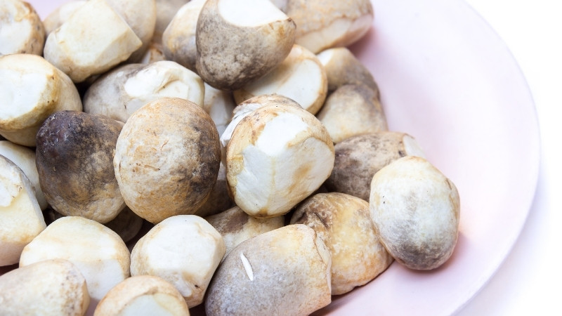 Nấm rơm có tác dụng gì?
