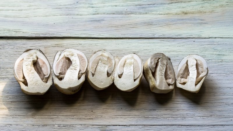 Nấm rơm có tác dụng gì?
