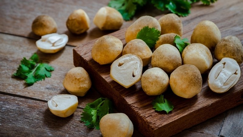 Nấm rơm có tác dụng gì?