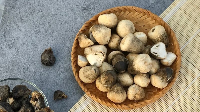 Nấm rơm có tác dụng gì?