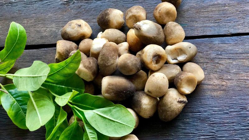 Nấm rơm có tác dụng gì?