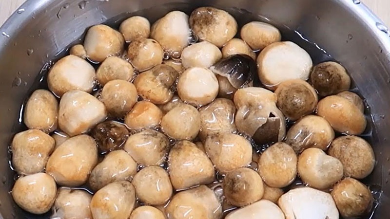 Cách sơ chế nấm rơm