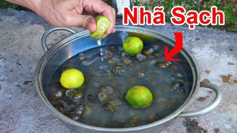 Ngâm ốc với giấm chua, chanh để sạch nhờn