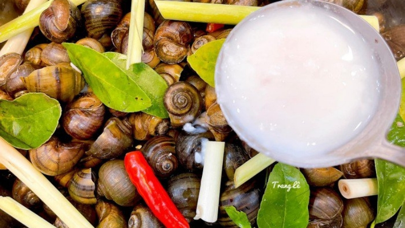 Luộc ốc với sả, lá chanh, muối, mẻ