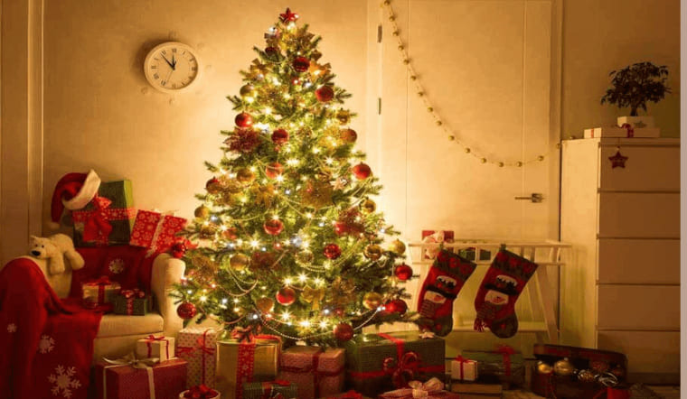 Sự tích cây thông Noel: Ý nghĩa và câu chuyện cảm động đằng sau