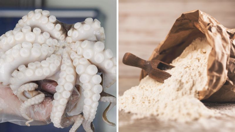 Nguyên liệu làm món bánh bạch tuộc