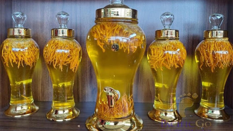 Ngâm rượu đông trùng hạ thảo