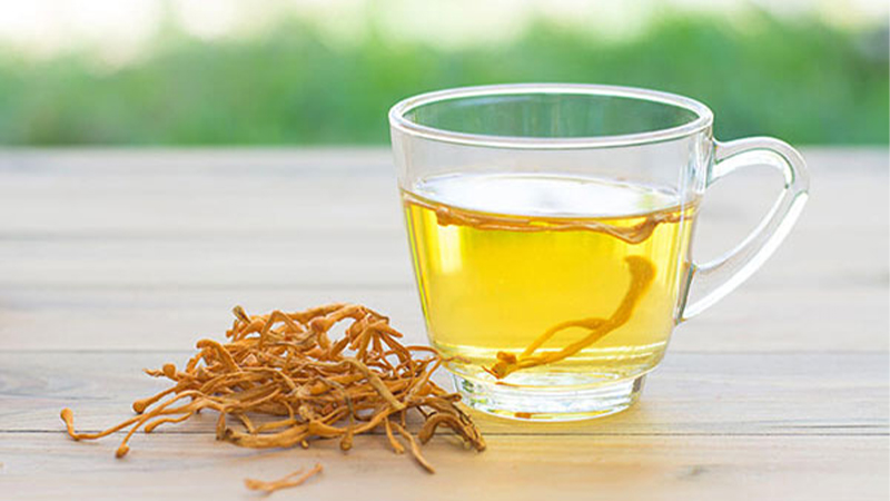 Pha trà đông trùng hạ thảo