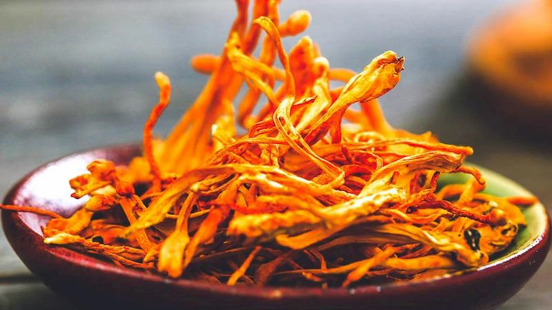 Thành phần dinh dưỡng và hoạt chất quan trọng của nấm đông trùng hạ thảo