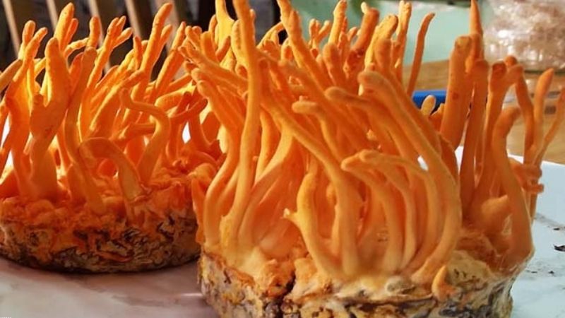 Tác dụng phụ có thể gặp