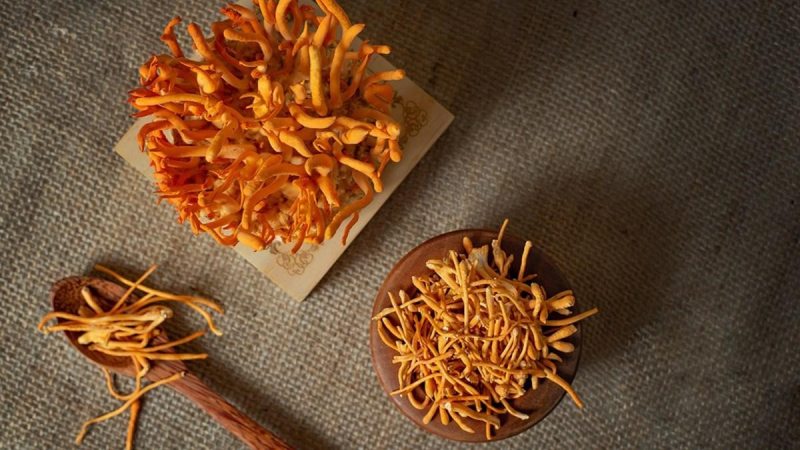 Cách chọn mua đông trùng hạ thảo chất lượng