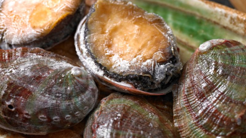 Mua bào ngư ngon ở đâu? Giá bao nhiêu?
