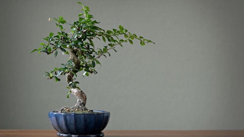 Tính cách và đặc điểm của người mệnh Thủy