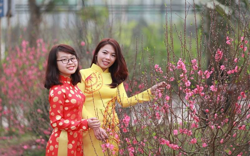 Thiên đường Bảo Sơn