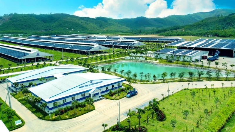 Điều gì làm nên sự khác biệt của sữa Vinamilk Green Farm?