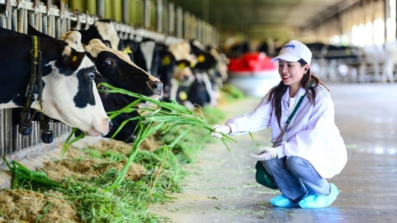 Chất lượng của sữa Vinamilk Green Farm được công nhận như thế nào?