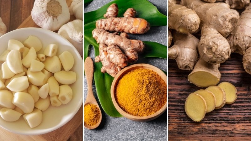 Gia vị có tính kháng viêm tự nhiên: Tỏi, gừng, nghệ Gia vị có tính kháng viêm tự nhiên: Tỏi, gừng, nghệ