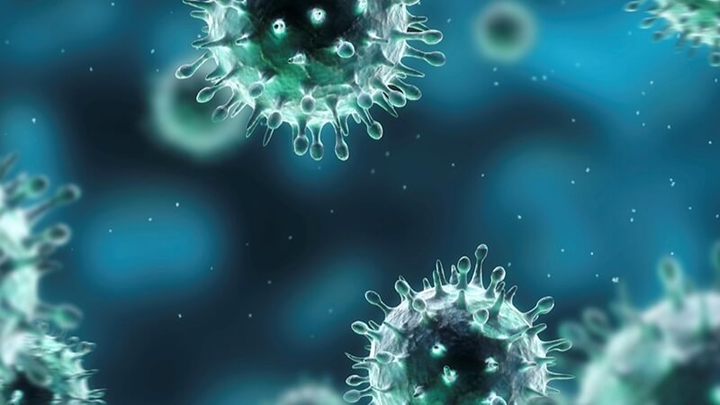 Các chủng cúm A phổ biến