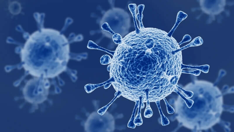 Virus cúm A lây lan như thế nào?