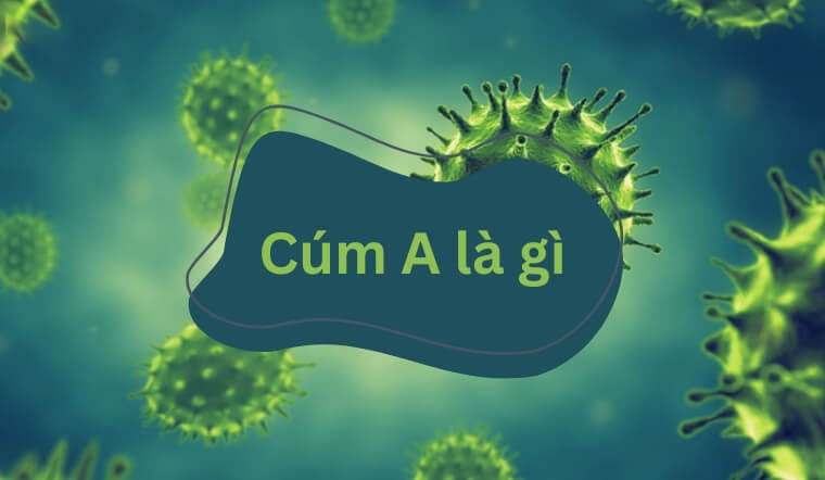 Cúm A là gì? Nguyên nhân, triệu chứng và cách phòng ngừa cúm A