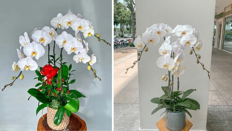 Mẫu hoa sinh nhật cho chồng 6