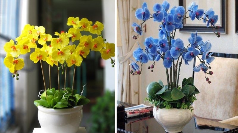 Mẫu hoa sinh nhật cho sếp nam 5