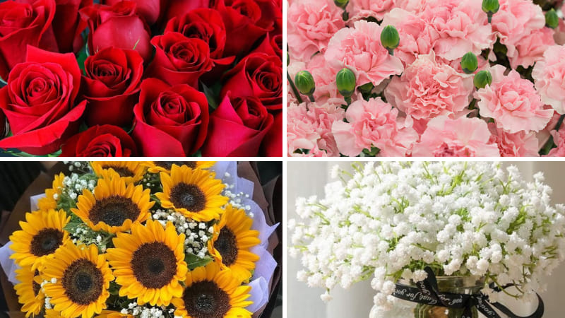 Các loại hoa sinh nhật đẹp nên tặng
