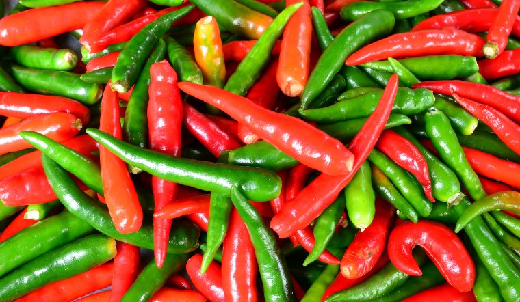 Giá ớt hôm nay 25/07/2024: Tạm chững lại ở mức cao