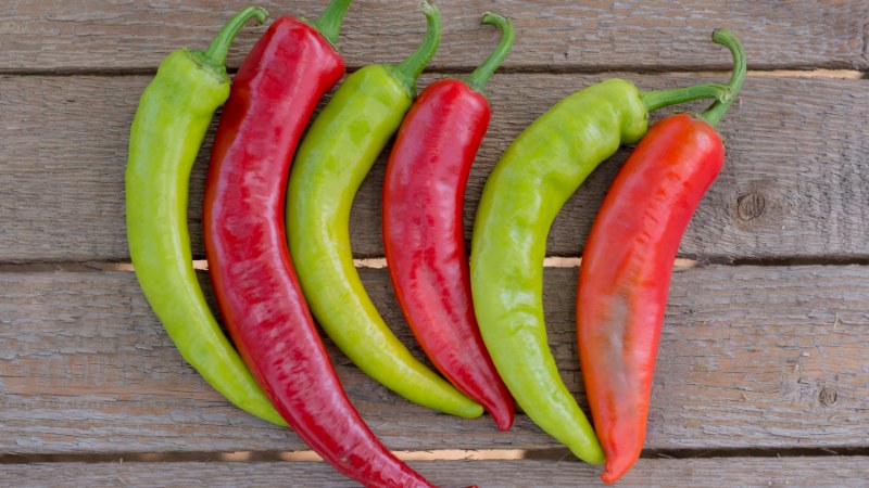 Giá ớt hôm nay 29/07/2024 cập nhật mới nhất