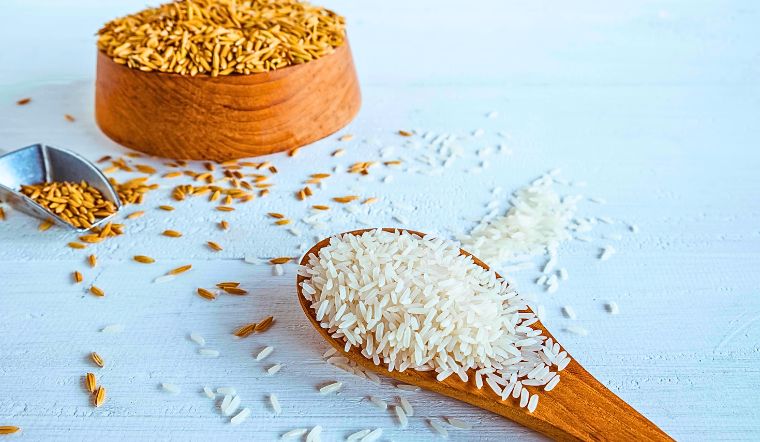 Giá lúa gạo hôm nay 31/7/2024: Đi ngang tiếp tục