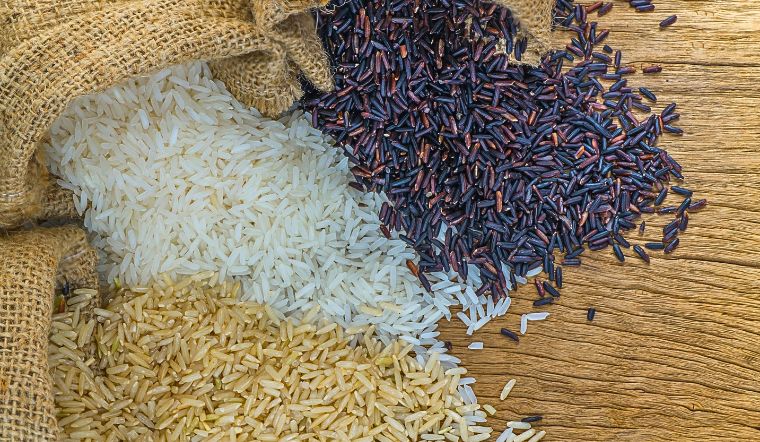 Giá lúa gạo hôm nay 01/8/2024: Ổn định tiếp tục