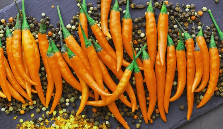 Giá ớt hôm nay 05/08/2024: Tiếp tục yên ắng ở mức cao