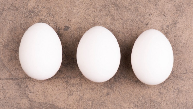 Giá trứng gà hôm nay ngày 07/08